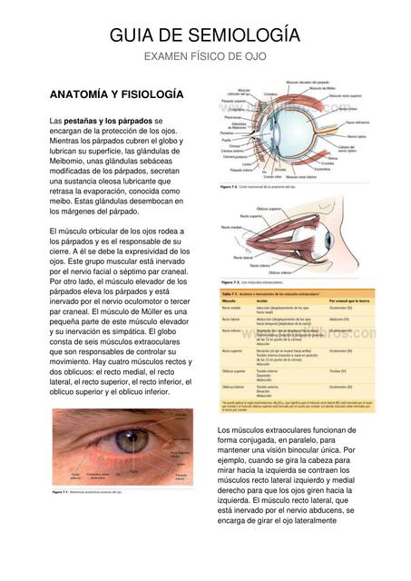 EXAMEN FISICO OJO