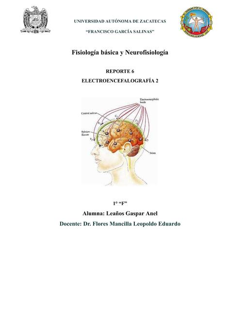 Reporte 6 Electroencefalografía 2. UAZ. Fisiología