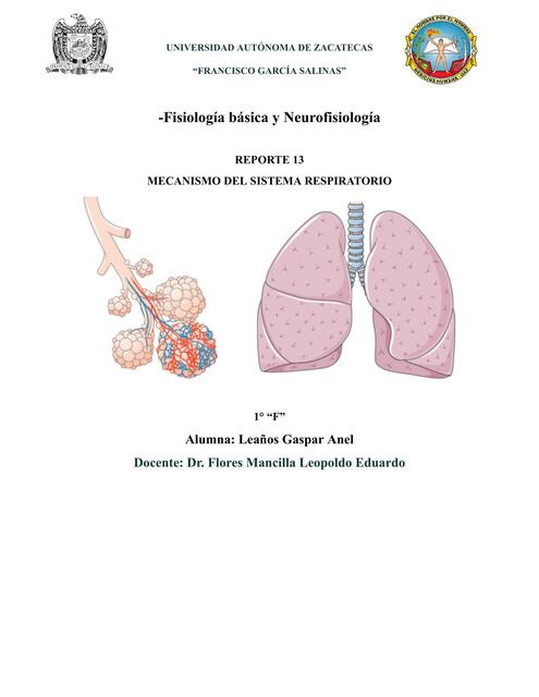 PRE Reporte 13 Mecanismo del sistema respiratorio. UAZ. Fisiología.