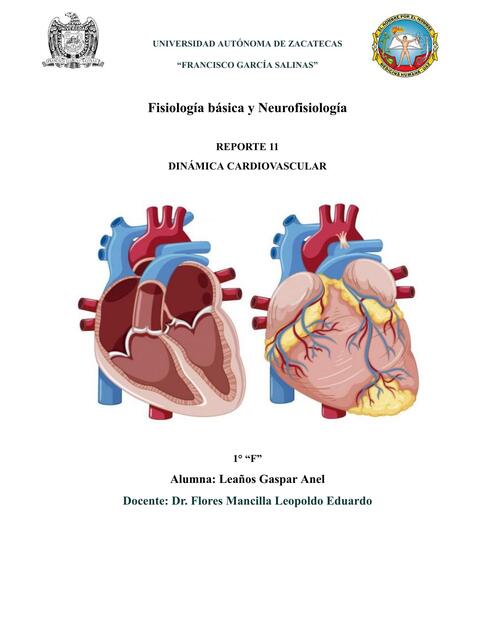 Pre Reporte 11 T Dinámica Cardiovascular Anel Leañ