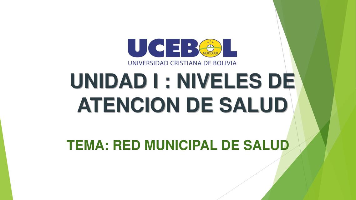 RED DE SALUD MUNICIPAL