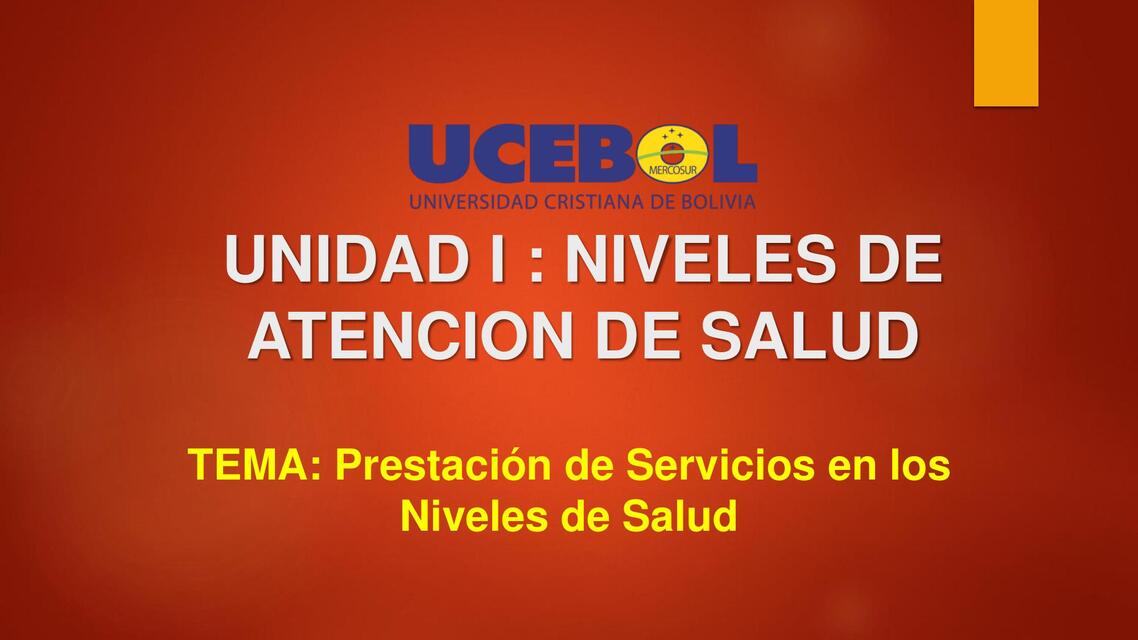 Prestacion de servicios en los niveles de salud