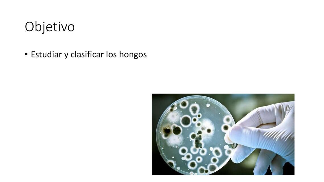 Clase_7_Microbiología[1] [Solo lectura]