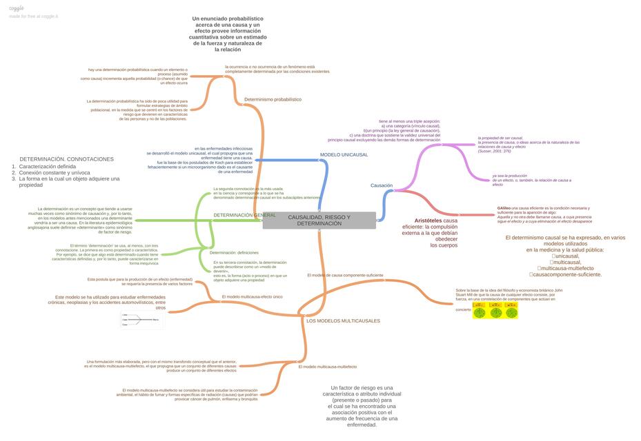 CAUSALIDAD RIESGO Y DETERMINACiON - MAPA MENTAL