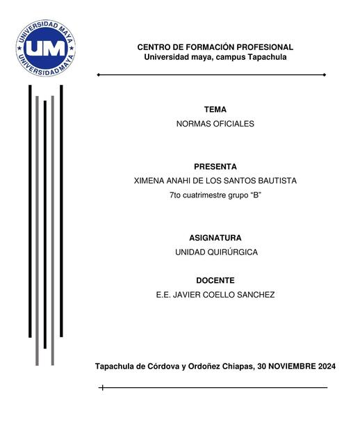 DE LOS SANTOS EF 7BS NORMAS OFICIALES