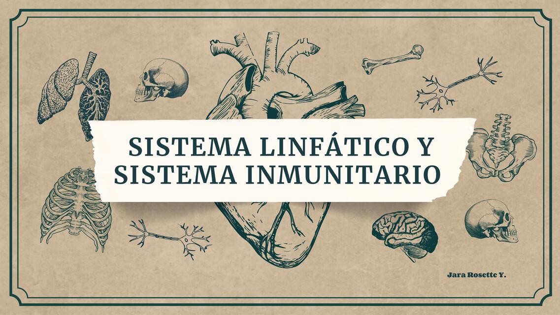 Sistema Inmunitario y sistema linfático