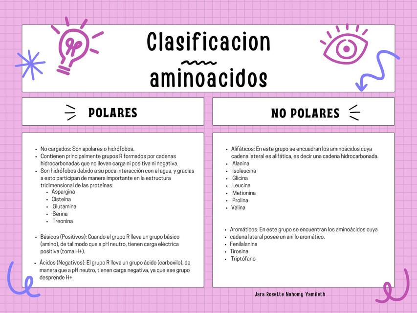 Clasificación de aminoácidos