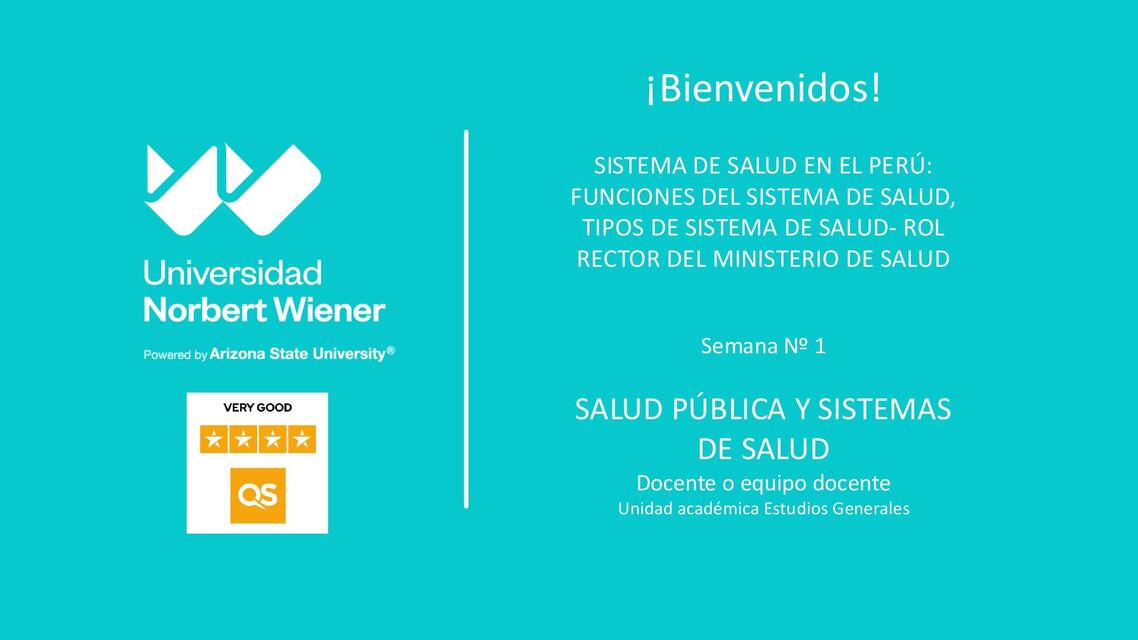 01 SISTEMA DE SALUD FUNCIONES RECTORIA MINSA 1