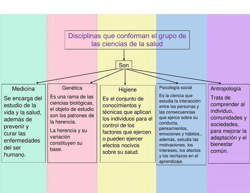 Mapa Conceptual Disciplinas Que Conforman En Grupo De Las Ciencias De 