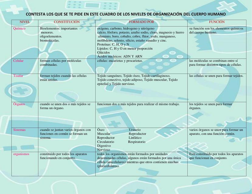 Niveles de Organización del Cuerpo Humano 