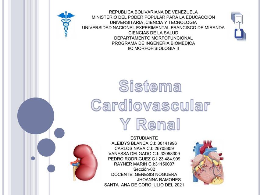 anatomia macroscopica del sistema cadiovascula