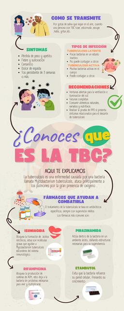 infograf-a-educativa-de-la-tbc-lyon-udocz