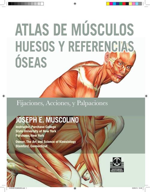 ATLAS DE MUSCULOS HUESOS Y REFERENCIAS MUSCOLINO