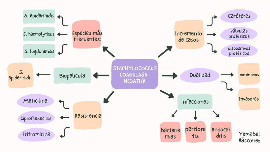 Staphylococcus