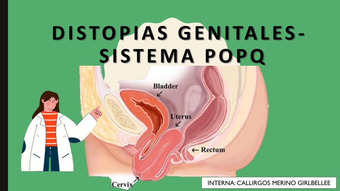 DISTOPIAS GENITALES POPQ