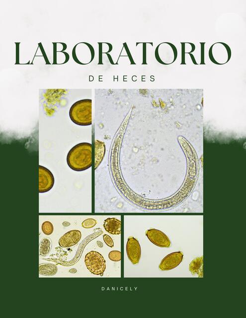 Guía Lab Heces