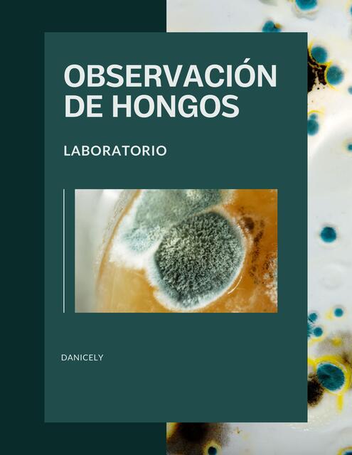 Laboratorio hongos