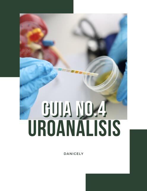 GUIA DE ESTUDIO NO UROANALISIS