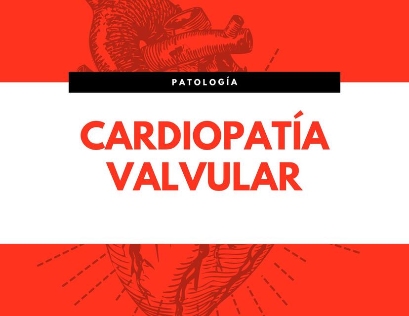 Álbum valvulopatias