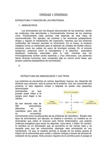 BIOQUIMICA 1 FINAL