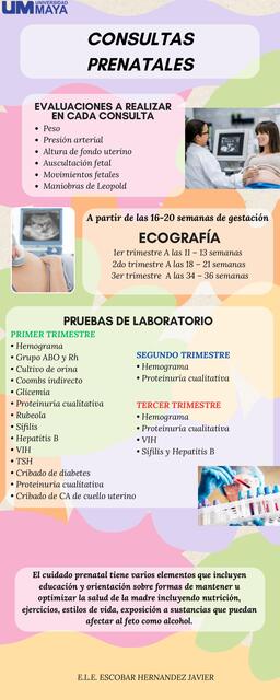 Infografía DE CONSULTAS PRENATALES 1