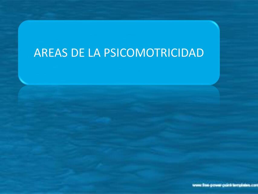 AREAS DE LA PSICOMOTRICIDAD