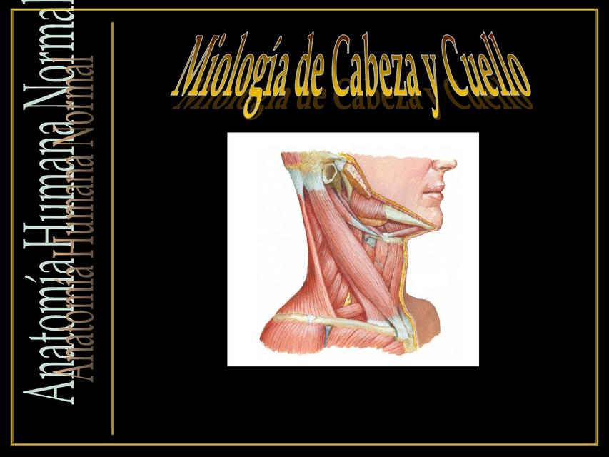 Miologia Cabeza y cuello Dr Mariano Pauloni 1