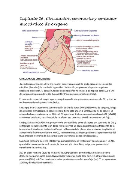 Fisiologia