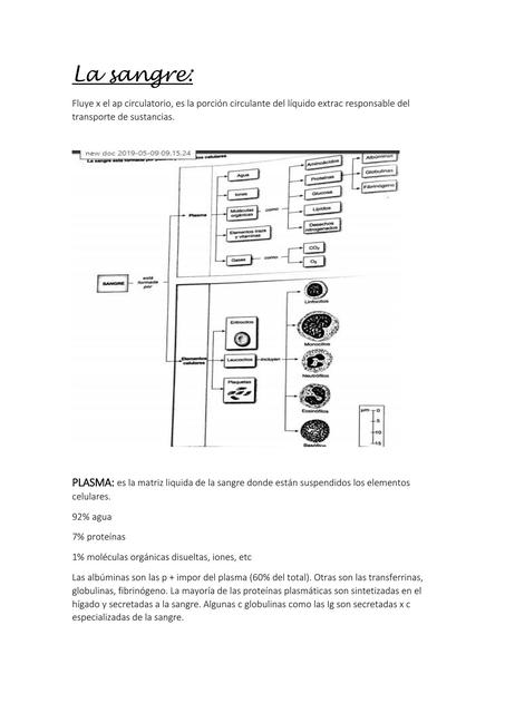 La sangre fisio