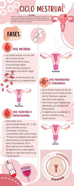 CICLO MESTRUAL