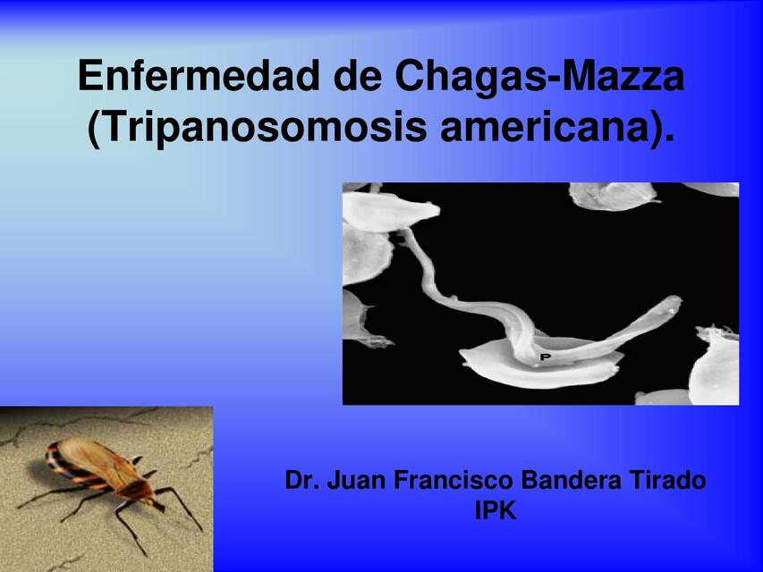 ENFERMEDAD DE CHAGAS MAZZA CATEGORIZACION