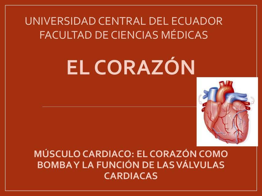 UNIDAD 3 El corazón