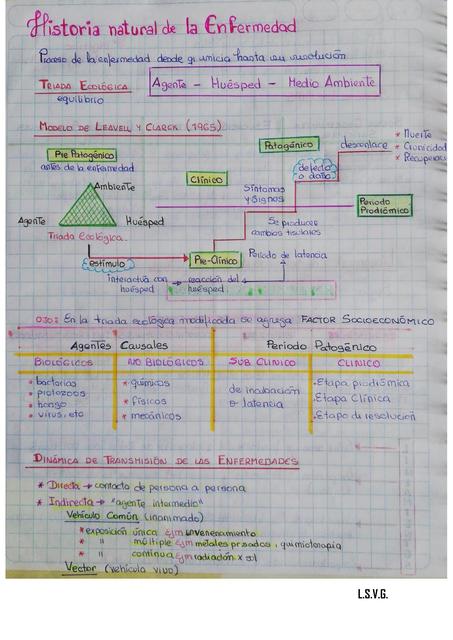 Historia Natural de la Enfermedad 