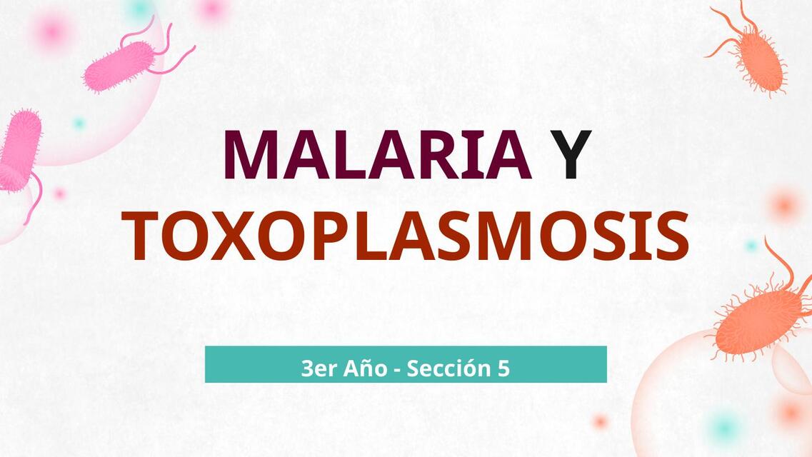 MALARIA Y TOXOPLASMA SEMINARIO