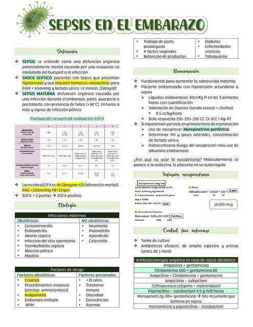 Sepsis en el embarazo