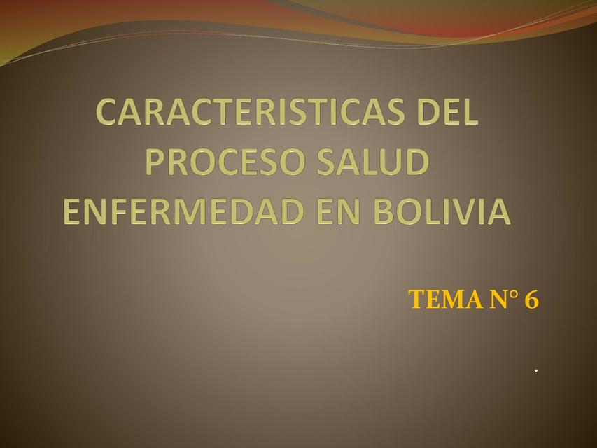 Características del proceso salud enfermedad en Bolivia