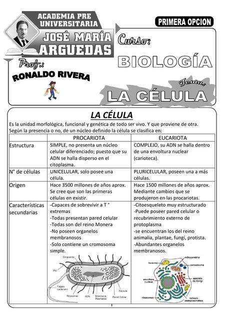 Breves célula 1 mejorado