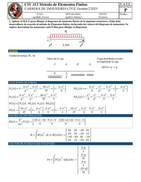 EXAMEN VIGA MEF