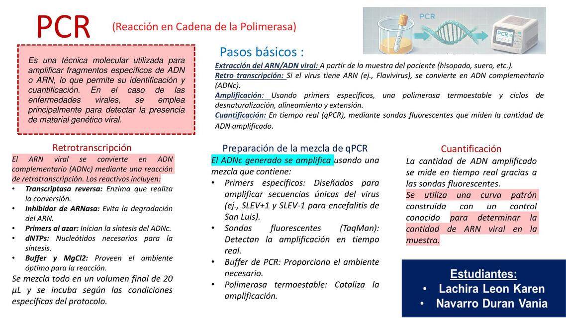 PCR y Neutralizacion por Reducción de Numero de Placas (NRNP)