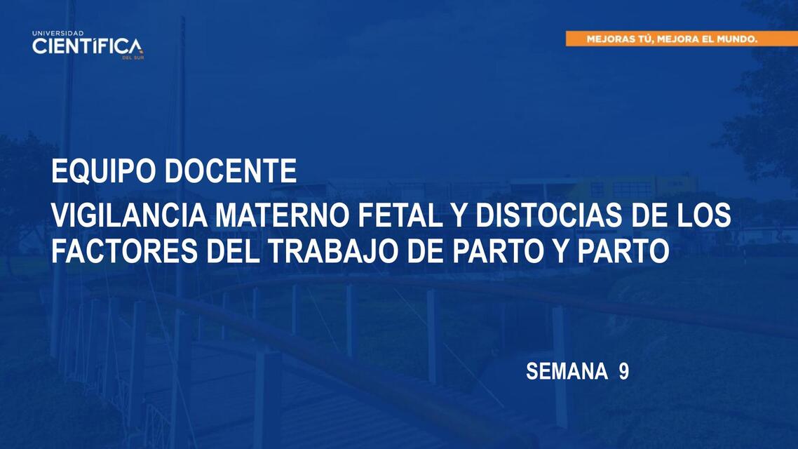 PPT OBSTETRICIA III SEM 09 SESIÓN 09 2