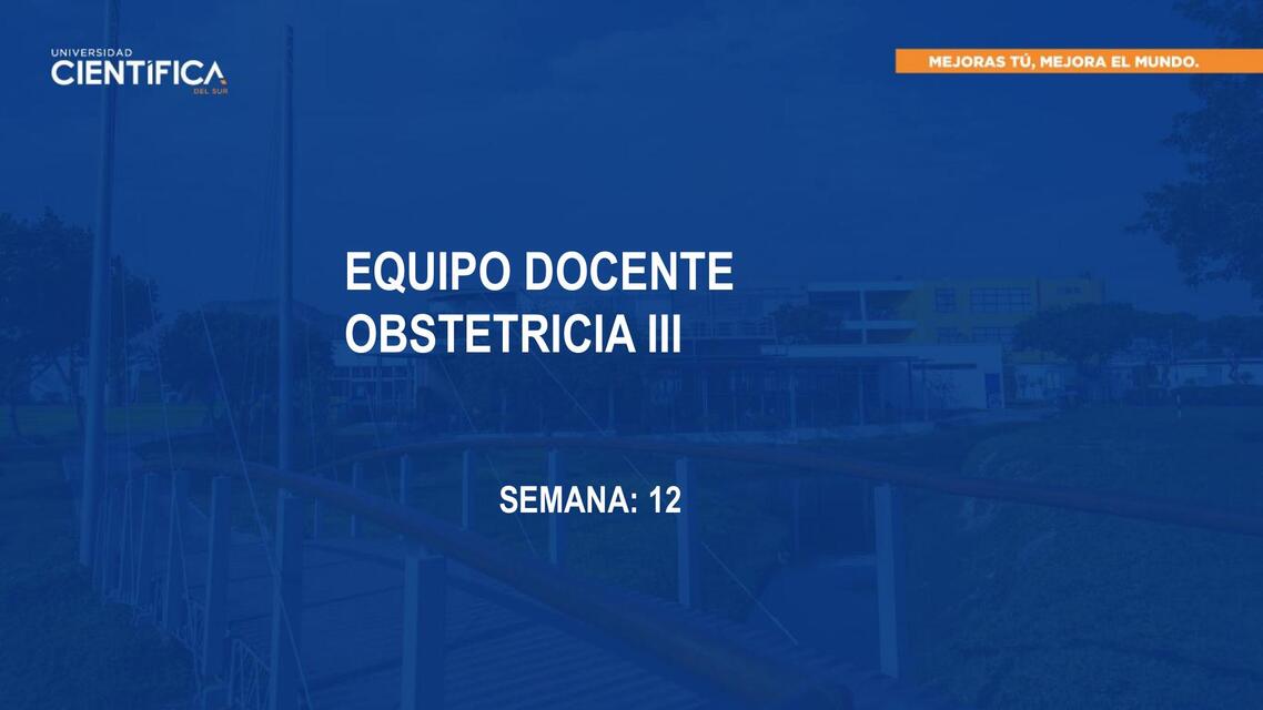 PPT OBSTETRICIA III SEM 12 SESIÓN 12 2 1