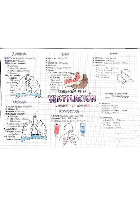 REGULACIÓN DE LA VENTILACIÓN NERVIOSA Y QUÍMICA