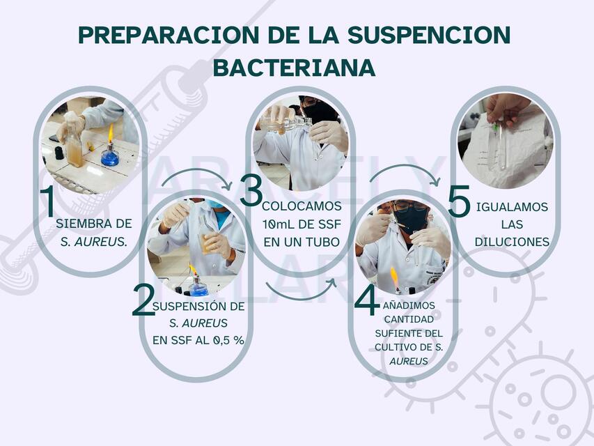 PREPARACION DE UNA VACUNA A GERMEN MUERTO