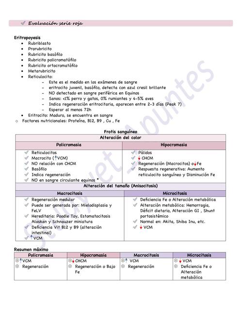 Tablitas completas examen Pato