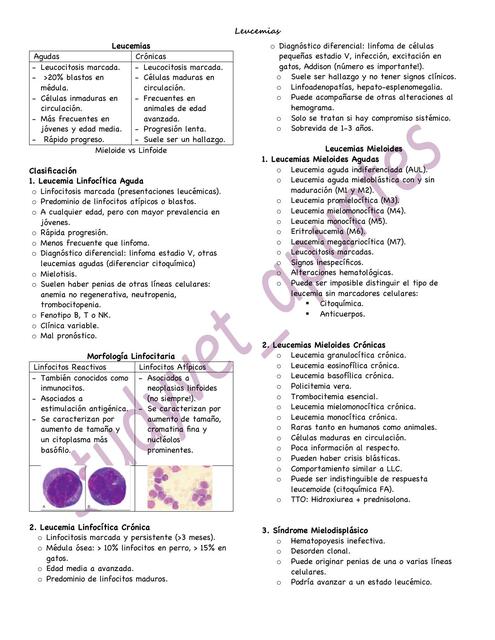 Leucemias y función renal