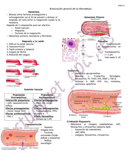 Evaluación de la hemostasia Patologia Clinica