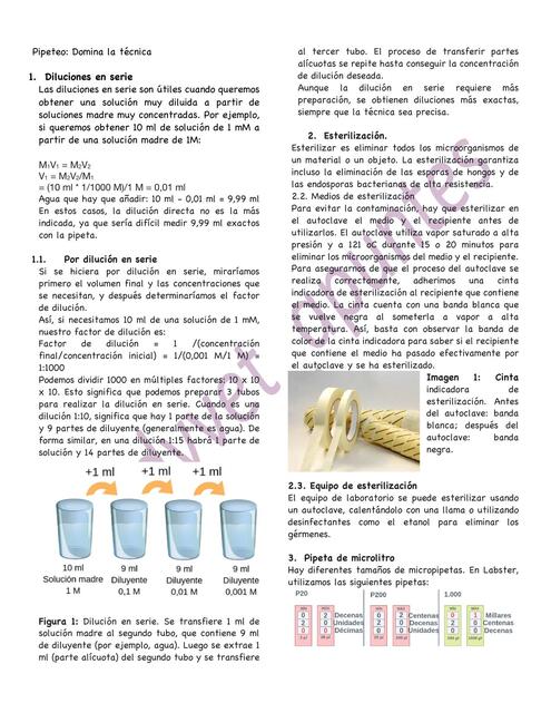 Pipeteo domina la tecnica LABSTER