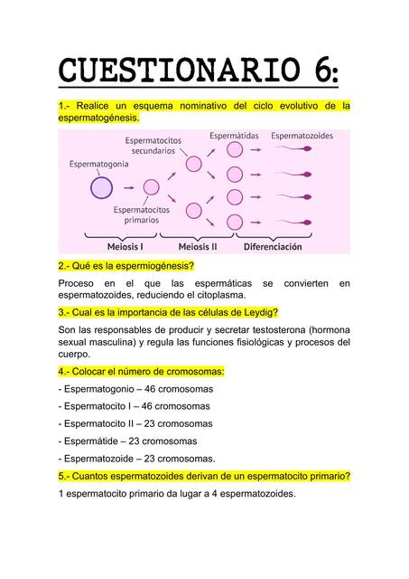 CUESTIONARIO 6 EMBRIOLOGÍA PRÁCTICA