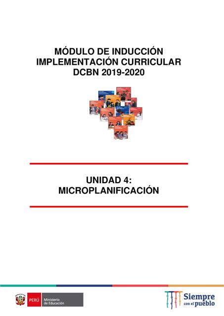 implementacion curricular