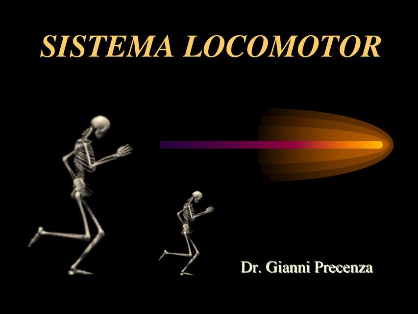 Tema 3 SISTEMA LOCOMOTOR 2